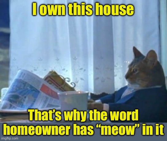 Cat homeowner | I own this house; That’s why the word homeowner has “meow” in it | image tagged in memes,i should buy a boat cat | made w/ Imgflip meme maker