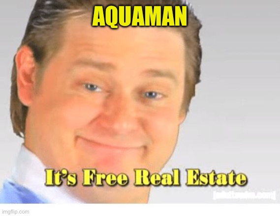 It's Free Real Estate | AQUAMAN | image tagged in it's free real estate | made w/ Imgflip meme maker