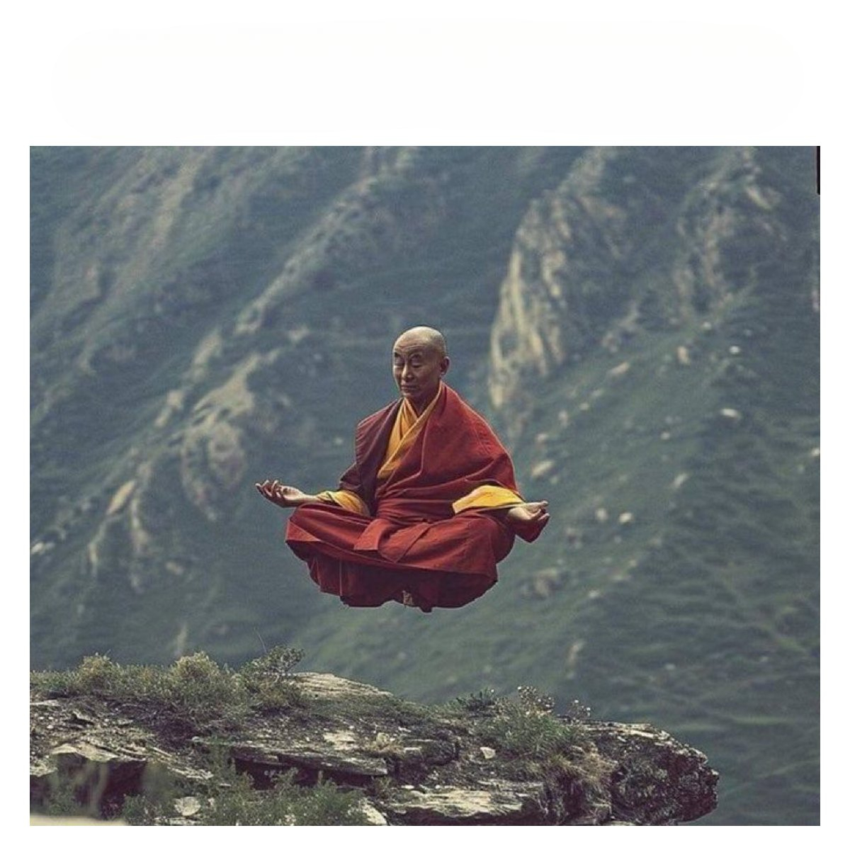 Flying dojo Blank Meme Template