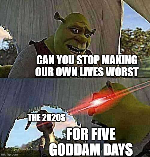 the 2020s won't stop ruining our own lives | CAN YOU STOP MAKING OUR OWN LIVES WORST; THE 2020S; FOR FIVE GODDAM DAYS | image tagged in shrek for five minutes,2020s | made w/ Imgflip meme maker