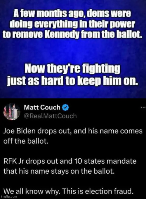 This is more democrat election fraud | image tagged in democrat,election fraud,what they do best | made w/ Imgflip meme maker