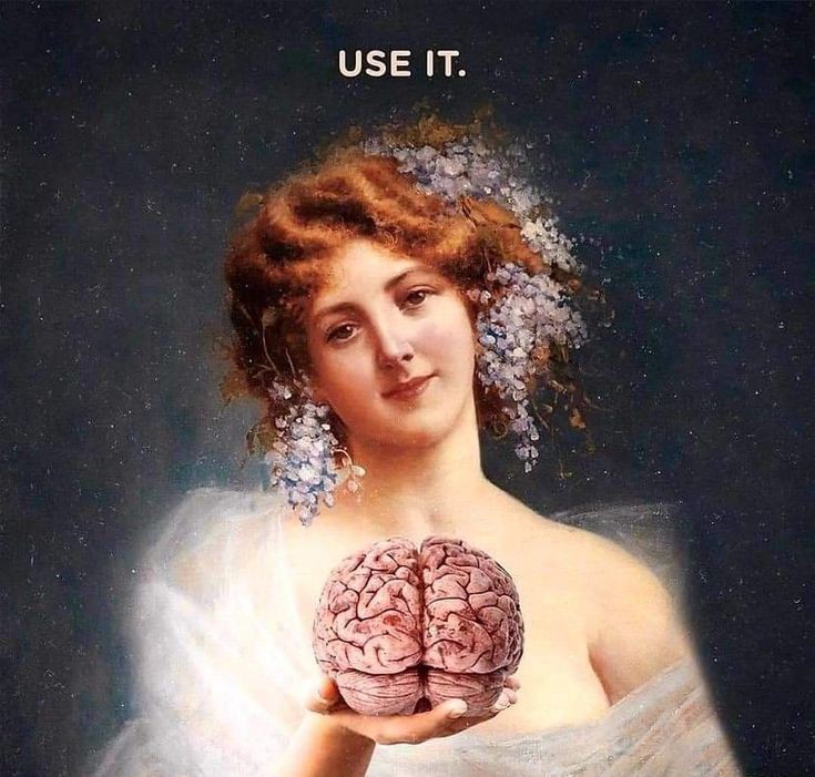 Use It | Brain Blank Meme Template