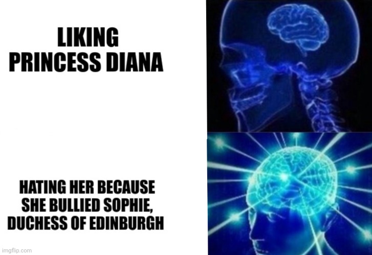 image tagged in sophie duchess of edinburgh,princess diana | made w/ Imgflip meme maker