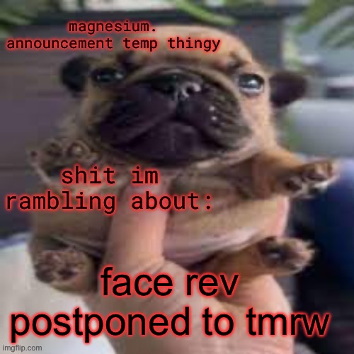 pug temp | face rev postponed to tmrw | image tagged in pug temp | made w/ Imgflip meme maker