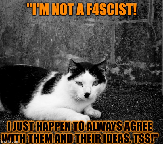 This #lolcat wonders why f4scists won't admit they are | "I'M NOT A F4SCIST! I JUST HAPPEN TO ALWAYS AGREE WITH THEM AND THEIR IDEAS. TSS!" | image tagged in fascism,fascists,lolcat | made w/ Imgflip meme maker