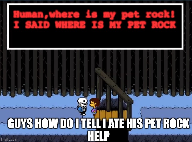 Help me | Human,where is my pet rock!
I SAID WHERE IS MY PET ROCK; GUYS HOW DO I TELL I ATE HIS PET ROCK
HELP | image tagged in i dont wanna hear boss music,pet rock,undertale,help me | made w/ Imgflip meme maker