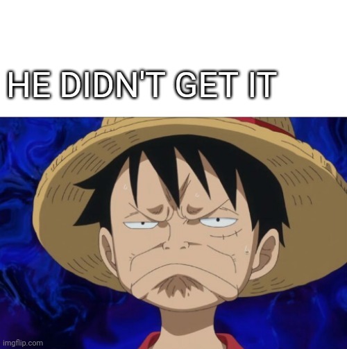 One Piece Luffy Pout | HE DIDN'T GET IT | image tagged in one piece luffy pout | made w/ Imgflip meme maker