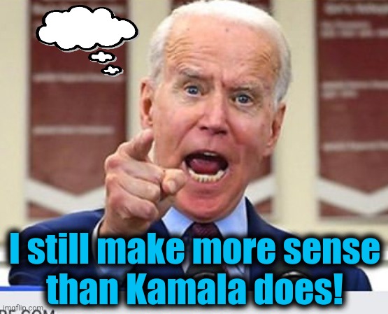 Joe Biden no malarkey | I still make more sense
than Kamala does! | image tagged in joe biden no malarkey | made w/ Imgflip meme maker