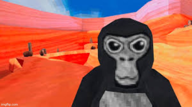 gorilla tag | image tagged in gorilla tag | made w/ Imgflip meme maker