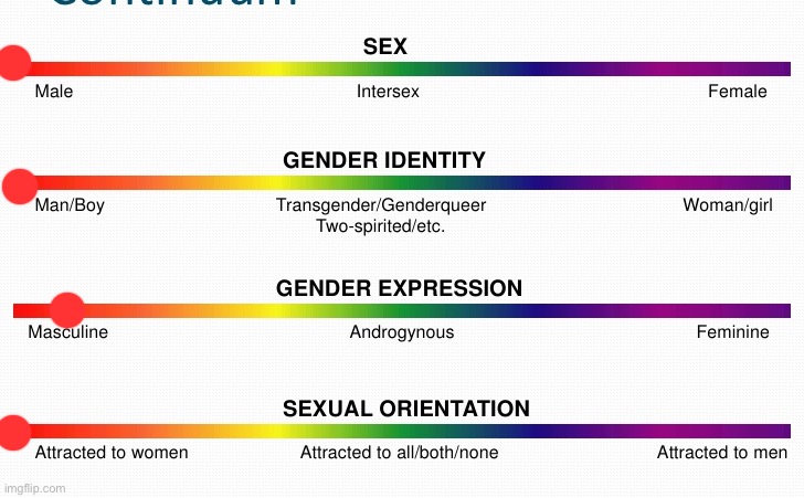 lgbtq spectrum | image tagged in lgbtq spectrum | made w/ Imgflip meme maker