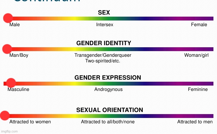 lgbtq spectrum | image tagged in lgbtq spectrum | made w/ Imgflip meme maker