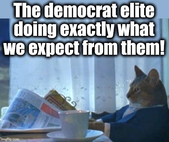 I Should Buy A Boat Cat Meme | The democrat elite doing exactly what we expect from them! | image tagged in memes,i should buy a boat cat | made w/ Imgflip meme maker