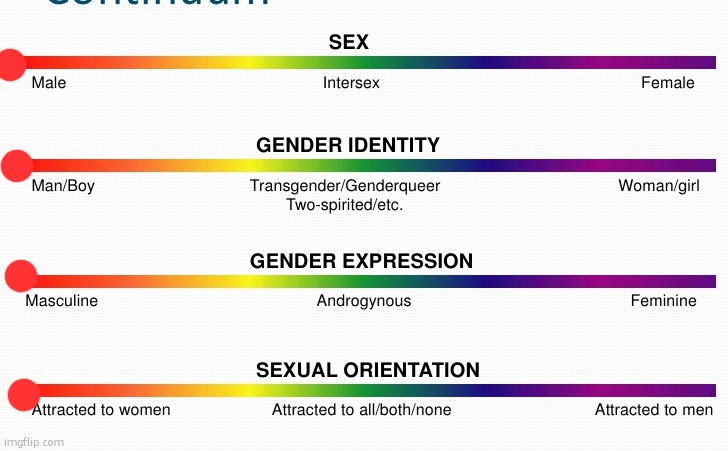 lgbtq spectrum | image tagged in lgbtq spectrum | made w/ Imgflip meme maker