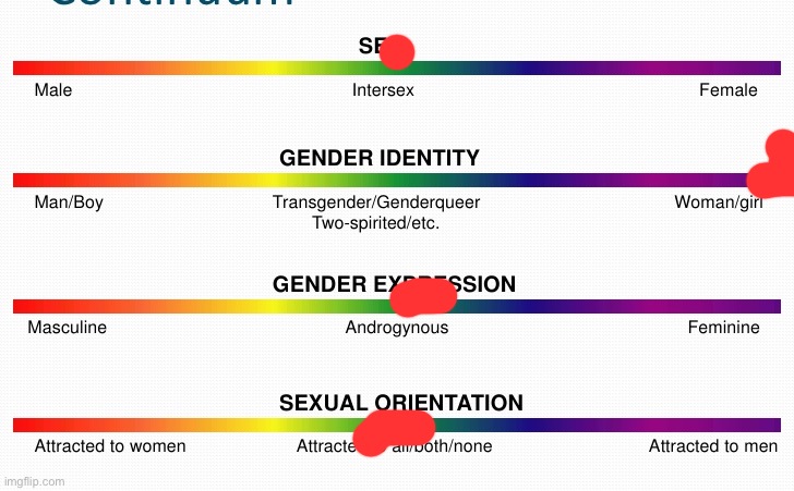 What is this | image tagged in lgbtq spectrum | made w/ Imgflip meme maker