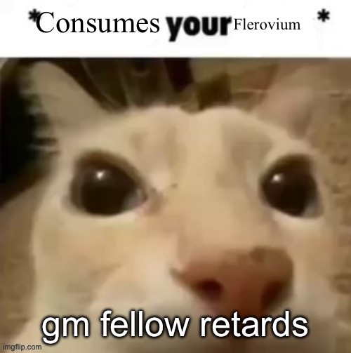 Yakko consumes your flerovium | gm fellow retards | image tagged in yakko consumes your flerovium | made w/ Imgflip meme maker