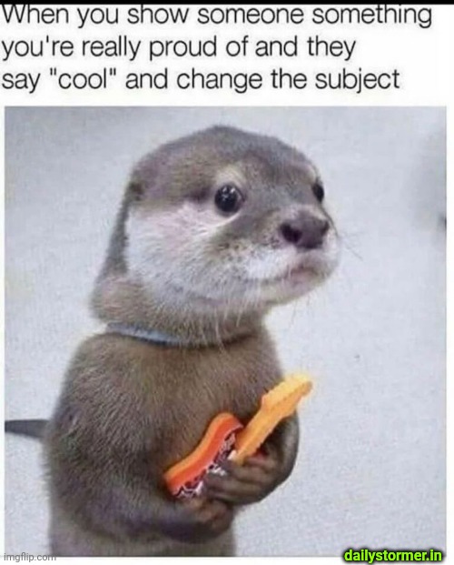 dailystormer.in | dailystormer.in | image tagged in dailystormer in | made w/ Imgflip meme maker