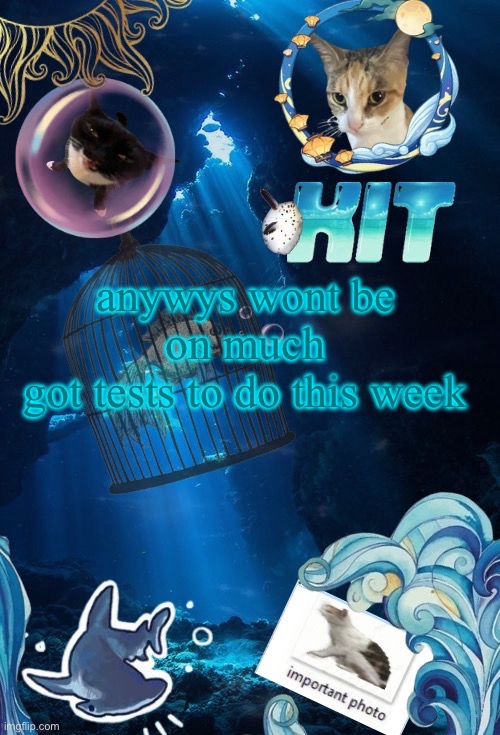 silly announcement template by asriel | anywys wont be on much
got tests to do this week | image tagged in silly announcement template by asriel | made w/ Imgflip meme maker