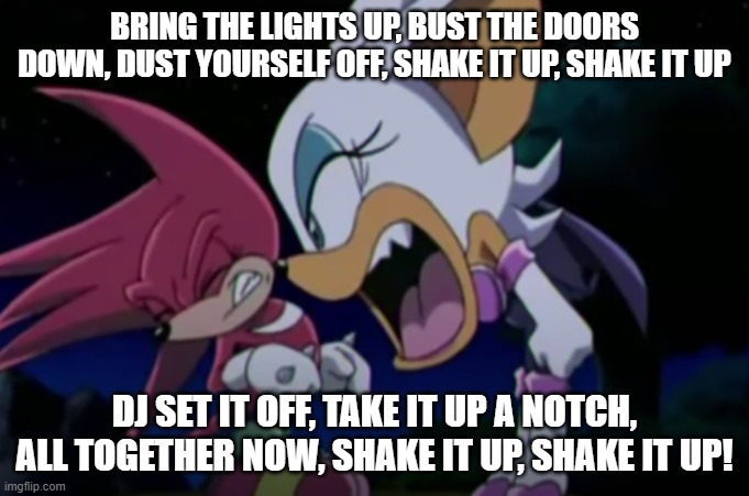 rouge yelling at knuckles | BRING THE LIGHTS UP, BUST THE DOORS DOWN, DUST YOURSELF OFF, SHAKE IT UP, SHAKE IT UP; DJ SET IT OFF, TAKE IT UP A NOTCH, ALL TOGETHER NOW, SHAKE IT UP, SHAKE IT UP! | image tagged in rouge yelling at knuckles | made w/ Imgflip meme maker