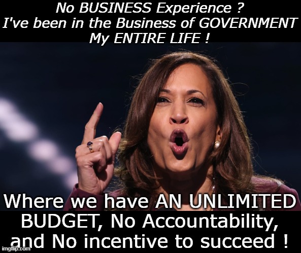 I will fix the Economy with JOY | No BUSINESS Experience ?
I've been in the Business of GOVERNMENT
My ENTIRE LIFE ! Where we have AN UNLIMITED BUDGET, No Accountability, and No incentive to succeed ! | image tagged in kamala no business experience meme | made w/ Imgflip meme maker