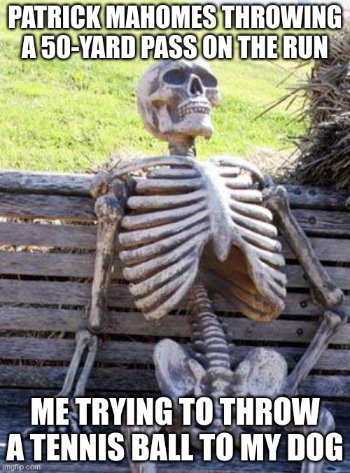 Waiting Skeleton Meme | PATRICK MAHOMES THROWING A 50-YARD PASS ON THE RUN; ME TRYING TO THROW A TENNIS BALL TO MY DOG | image tagged in memes,waiting skeleton | made w/ Imgflip meme maker