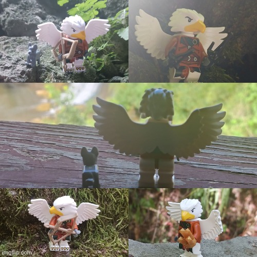 The new LEGO Aarakocra Ranger in realistic environments | made w/ Imgflip meme maker