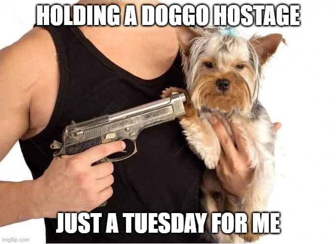 dog hostage | HOLDING A DOGGO HOSTAGE; JUST A TUESDAY FOR ME | image tagged in dog hostage | made w/ Imgflip meme maker