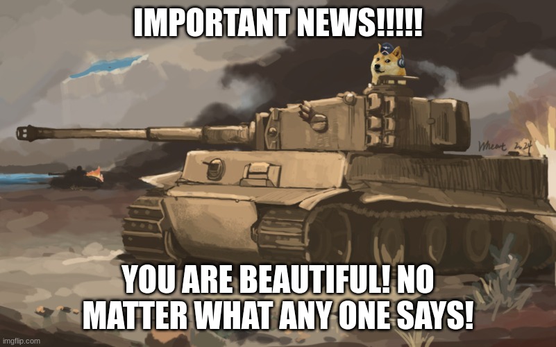 importaint news!!!!!! | IMPORTANT NEWS!!!!! YOU ARE BEAUTIFUL! NO MATTER WHAT ANY ONE SAYS! | image tagged in doge tank | made w/ Imgflip meme maker