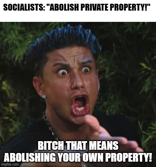 Didn't think that one through | SOCIALISTS: "ABOLISH PRIVATE PROPERTY!"; BITCH THAT MEANS ABOLISHING YOUR OWN PROPERTY! | image tagged in memes,dj pauly d,political meme,politics lol,funny memes | made w/ Imgflip meme maker