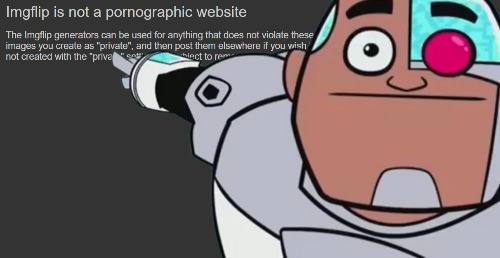 Imgflip is not a pornographic website Blank Meme Template