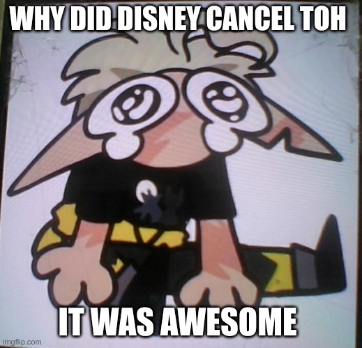 Why did they cancel Toh? | WHY DID DISNEY CANCEL TOH; IT WAS AWESOME | image tagged in the owl house | made w/ Imgflip meme maker