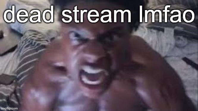 dead stream lmfao | made w/ Imgflip meme maker