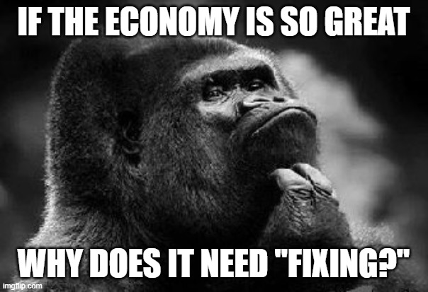 thinking monkey | IF THE ECONOMY IS SO GREAT WHY DOES IT NEED "FIXING?" | image tagged in thinking monkey | made w/ Imgflip meme maker