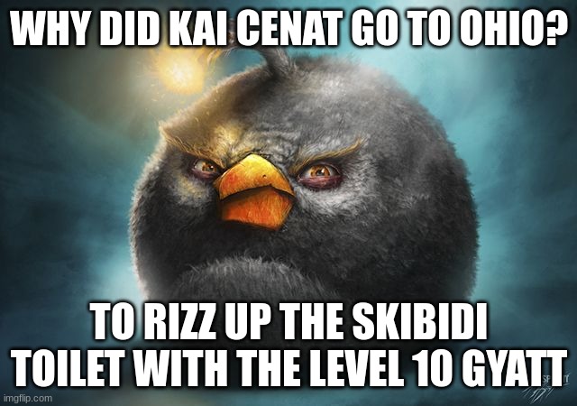 finna krill my shelf after typing this | WHY DID KAI CENAT GO TO OHIO? TO RIZZ UP THE SKIBIDI TOILET WITH THE LEVEL 10 GYATT | image tagged in angry birds bomb | made w/ Imgflip meme maker