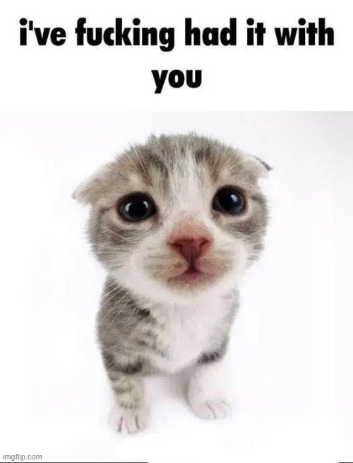 ive had it with you | image tagged in ive had it with you | made w/ Imgflip meme maker