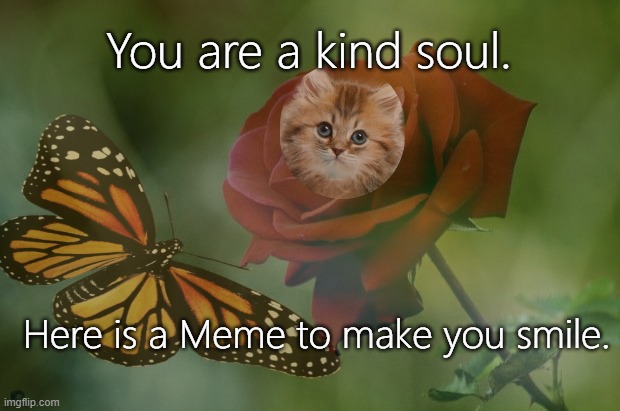 You are a kind soul. Here is a Meme to make you smile. | made w/ Imgflip meme maker