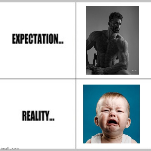 Expectation vs Reality | image tagged in expectation vs reality | made w/ Imgflip meme maker