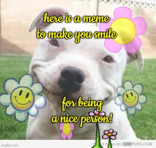 Happy Friday Puppy | here is a meme to make you smile for being a nice person! | image tagged in happy friday puppy | made w/ Imgflip meme maker