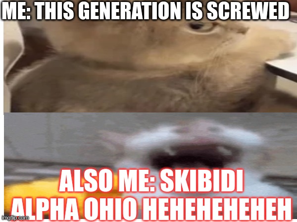 shh its a secret | ME: THIS GENERATION IS SCREWED; ALSO ME: SKIBIDI ALPHA OHIO HEHEHEHEHEH | image tagged in cat | made w/ Imgflip meme maker