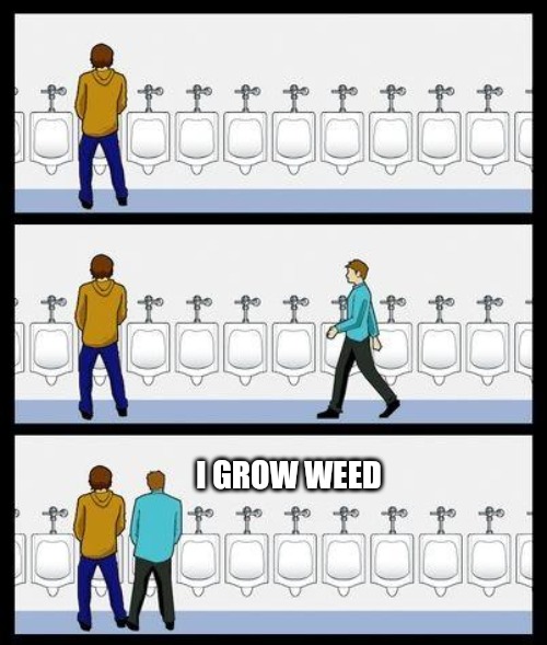 Urinal Guy | I GROW WEED | image tagged in urinal guy | made w/ Imgflip meme maker