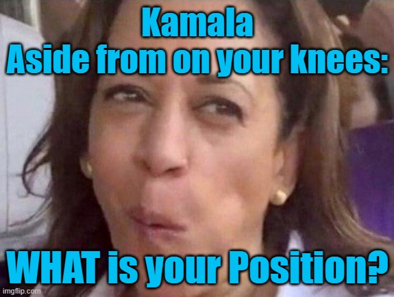 Kamala's positions? | Kamala
Aside from on your knees:; WHAT is your Position? | image tagged in kamala harris,knees | made w/ Imgflip meme maker