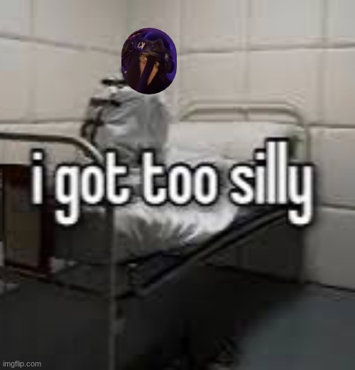 I got too silly | image tagged in i got too silly | made w/ Imgflip meme maker