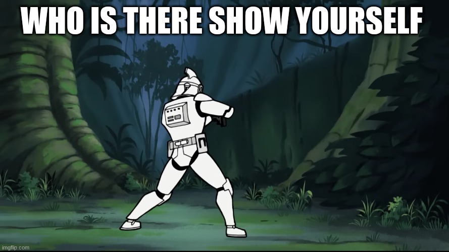 clone trooper | WHO IS THERE SHOW YOURSELF | image tagged in clone trooper | made w/ Imgflip meme maker