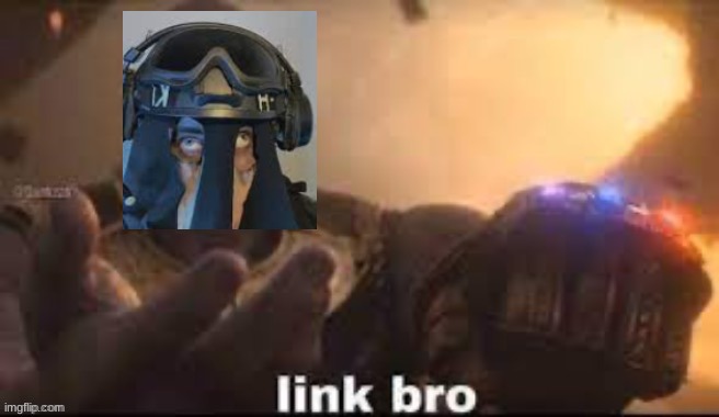 link bro | image tagged in link bro | made w/ Imgflip meme maker