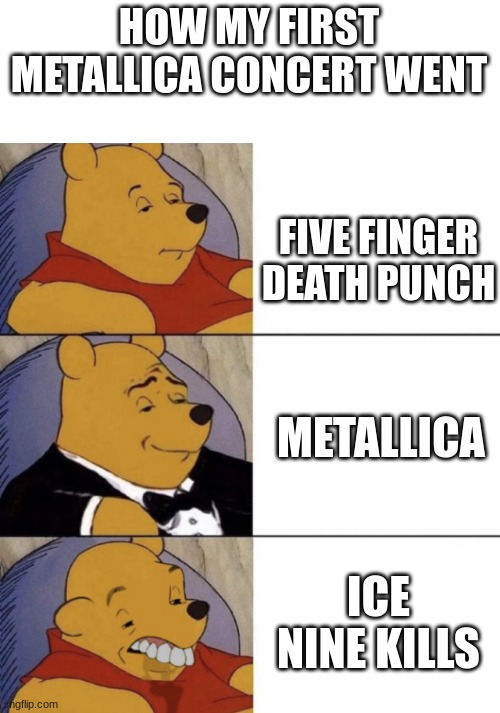 true | HOW MY FIRST METALLICA CONCERT WENT; FIVE FINGER DEATH PUNCH; METALLICA; ICE NINE KILLS | image tagged in whinnie the poo normal fancy gross | made w/ Imgflip meme maker