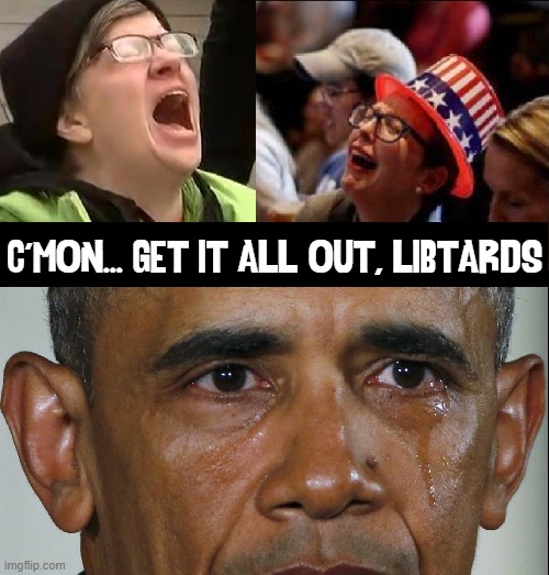 Liberals Realizing that Trump's Gonna Win | C'MON... GET IT ALL OUT, LIBTARDS | image tagged in vince vance,liberals,memes,libtards,obama crying,crying liberal | made w/ Imgflip meme maker