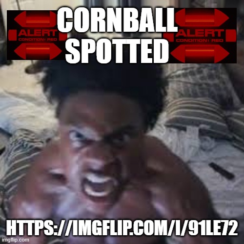 Ishowspeed Rage | CORNBALL SPOTTED; HTTPS://IMGFLIP.COM/I/91LE72 | image tagged in ishowspeed rage | made w/ Imgflip meme maker