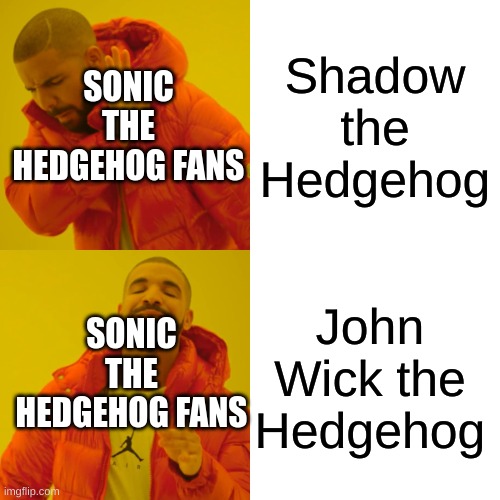 John Wick the Hedgehog | Shadow the Hedgehog; SONIC THE HEDGEHOG FANS; John Wick the Hedgehog; SONIC THE HEDGEHOG FANS | image tagged in memes,drake hotline bling | made w/ Imgflip meme maker