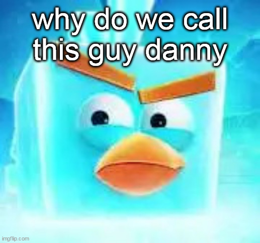 Ice bird | why do we call this guy danny | image tagged in ice bird | made w/ Imgflip meme maker