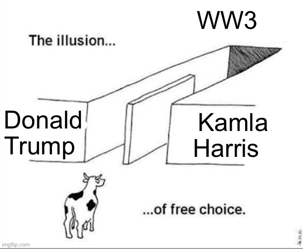 Illusion of free choice | WW3; Donald Trump; Kamla Harris | image tagged in illusion of free choice,operator bravo,politics,why are you reading the tags | made w/ Imgflip meme maker