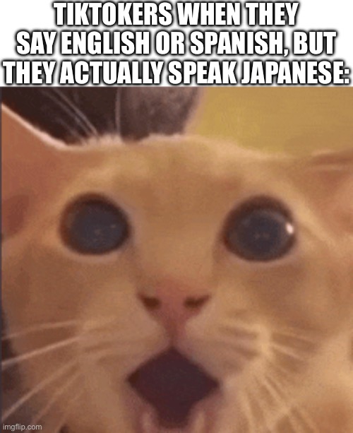TIKTOKERS WHEN THEY SAY ENGLISH OR SPANISH, BUT THEY ACTUALLY SPEAK JAPANESE: | made w/ Imgflip meme maker